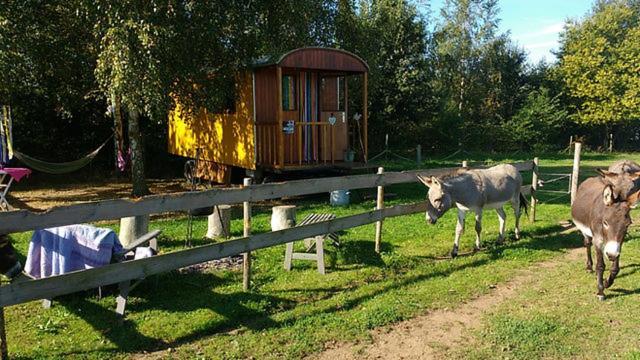 De Balkende Hoeve Арсхот Экстерьер фото